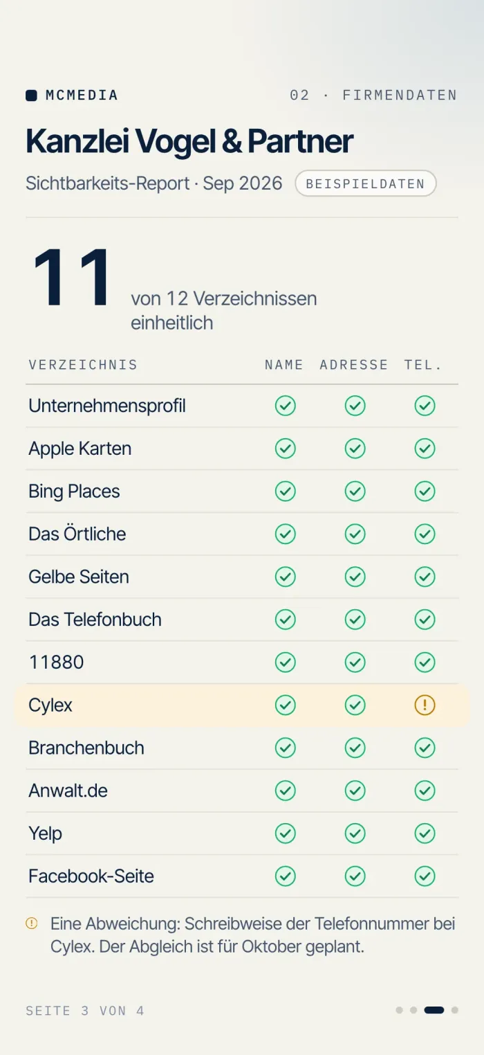 Report-Seite der Beispiel-Kanzlei: Firmendaten in zwölf Verzeichnissen, elf einheitlich, eine Abweichung bei der Telefon-Schreibweise (Beispieldaten)