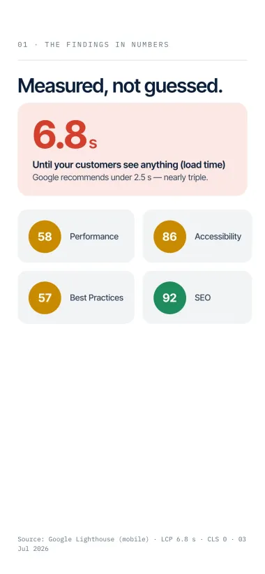 Website check — scores