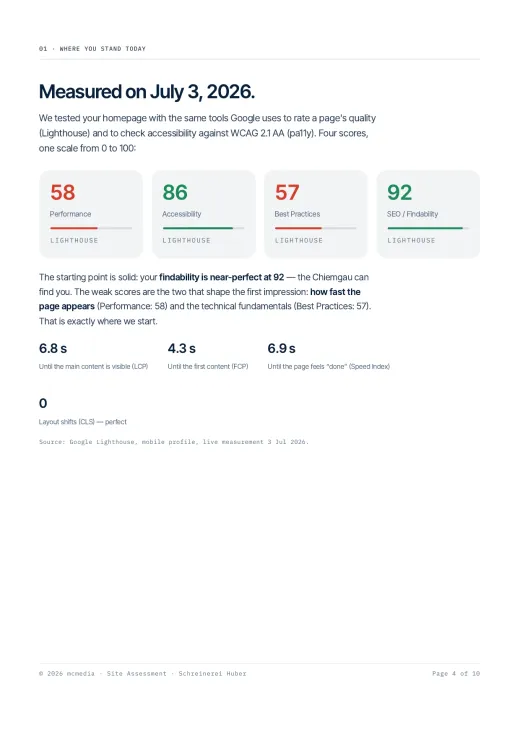 Website Check — the measured scores (example)